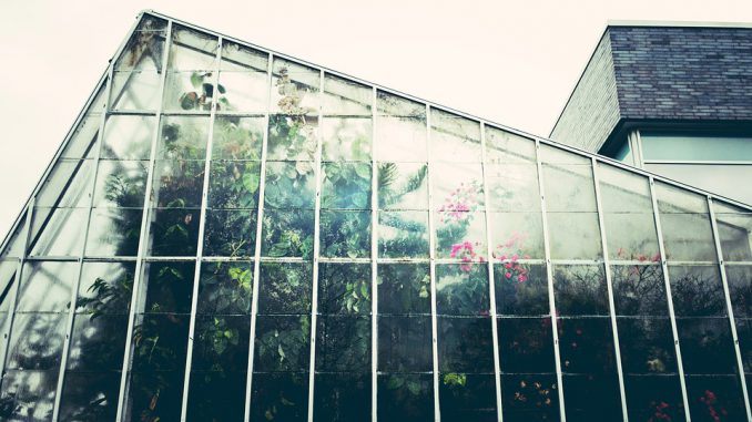 greenhouse-1246536_960_720